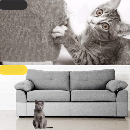 Protector Antirrasguños para Gatos y Perros